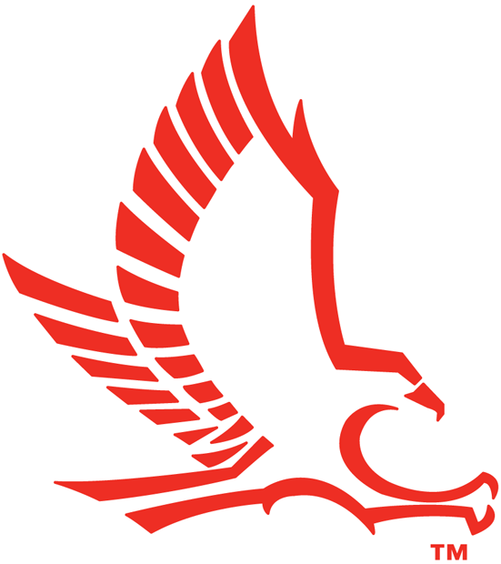 Hartford Hawks 1984-2014 Secondary Logo 01 iron on paper